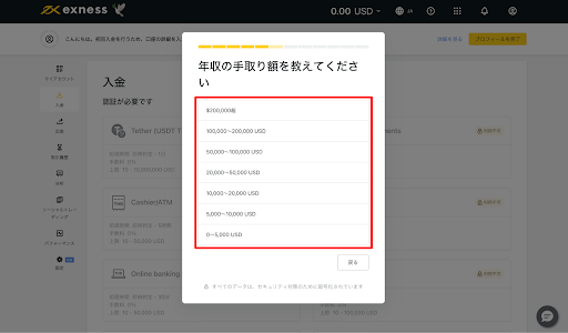 Exness 年収回答画面